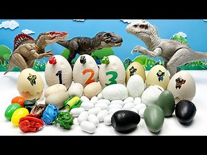 50 Dinosaur Egg Hatching! Jurassic World Dinosaurs T-Rex