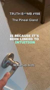 The Pineal Gland