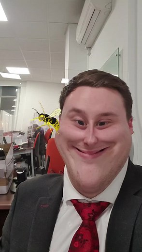 Funny Office Wasp Sting Reaction Video