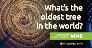 Aprendendo inglês com vídeos #048: What's The Oldest Tree in the World?