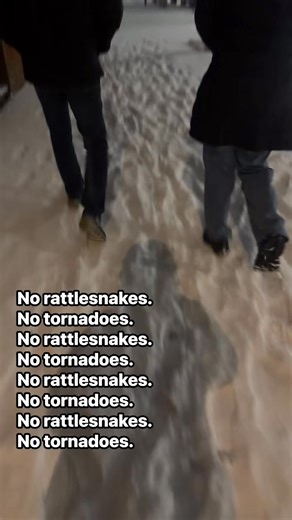 🚫🐍🚫🌪️ 😭 | Allison May