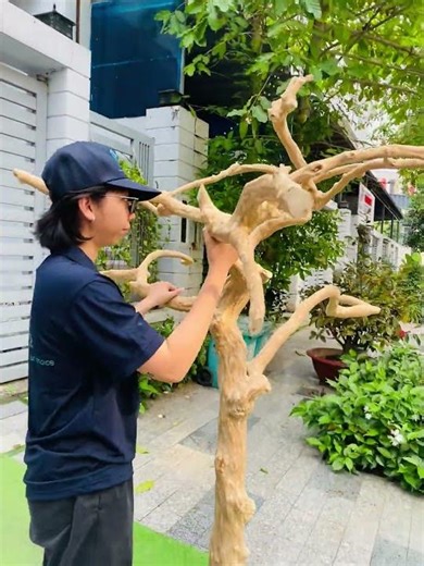 Java wood tree stands Promax Plusxxx #birdtoys #vpetsglobaljavawood #coffeewoodchewmanufacturer