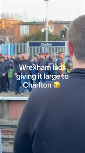 EFL gimp (@efl.gimp)’s videos with original sound - EFL gimp