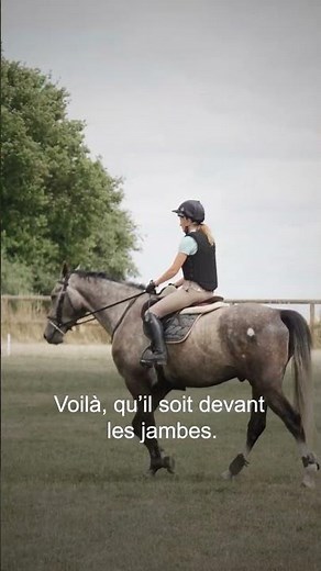 Le cross avec un cheval vert 🏇