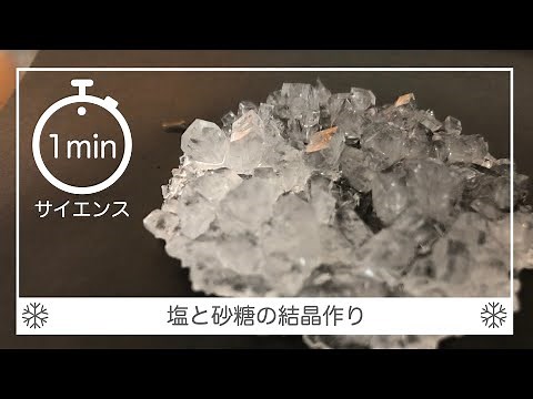 1minサイエンス 塩と砂糖の結晶作り