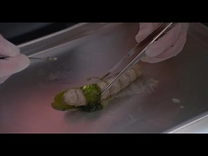 Blue Monkey Trailer [1987]