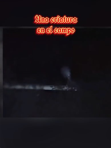 🚫 NO MIRES LO QUR GRABÓ 🚫 Este chico nos muestra una grabación casera sobre una extraña entidad en el campo Real o Fake? #paranormal #miedo #terror #alien