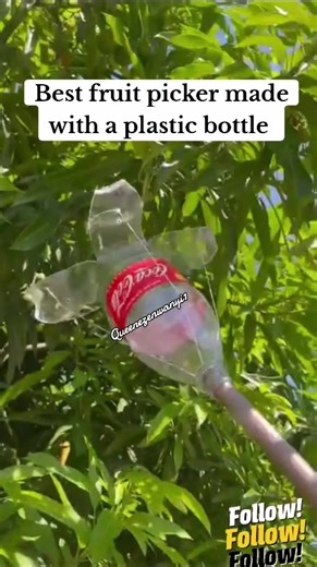 DIY Homemade Fruit Picker for Healthy Recipes