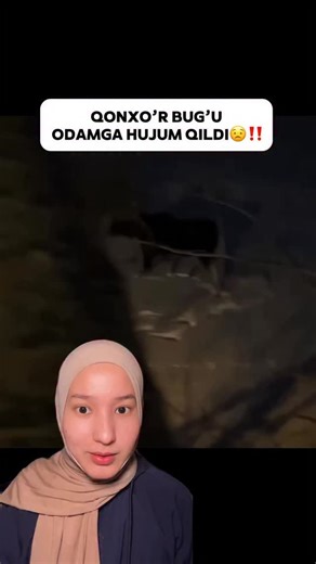 Abdulaziz & Surayyo | Adrenalin Hikoyalar on Instagram: "Qonxo’r bug’u odamga hujum qildi😟 Qo’rqinchli video Adrenalin hikoya Hikoya Ujas Ujis Ujis video #uzbekistan #reels #fyp #tashkent #uzb #ташкент #uzbekistan_inst #узбекистан @italiya_kundaligi"