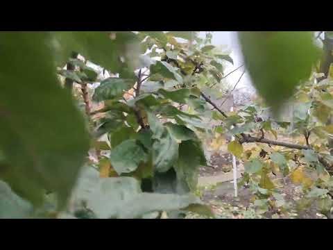 A little communication on solar stations