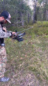 4.5K views · 33 reactions | Bow hunting for elk #bowhunter #bowhunt #bowhunting #elkhunting #elkhunt #elkhunter Murphy’s Mountain Homestead | Nature Daddy | Facebook