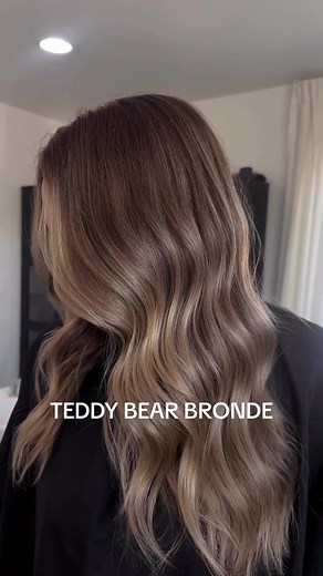 Achieve the Perfect Teddy Bear Bronde Hair with Redken Shades EQ Formula