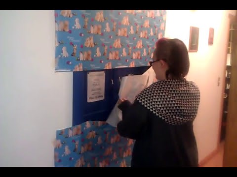 TARDIS bedroom door, Surprising my teen