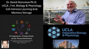 Dr. David Glanzman Ph.D. — UCLA — Studying Cell-Intrinsic Learning And Memory Storage Dynamics – Lifeboat News: The Blog