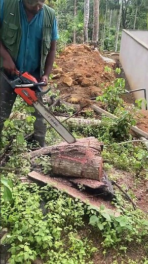🛠️ Chainsaw Wood Log Cutting – Fast & Smooth Cutting Demo!