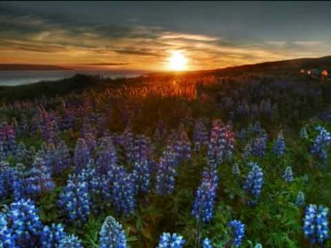 Live & Anouk - Dance with you (acoustic @ Wisseloord Studios)