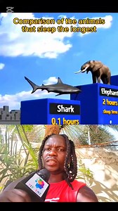 288K views · 3.8K reactions | UYO WA MWISHO NI MNYAMA GANI JAMANI? #fypシ #fypシ゚ #trend | Alex Sai | Facebook