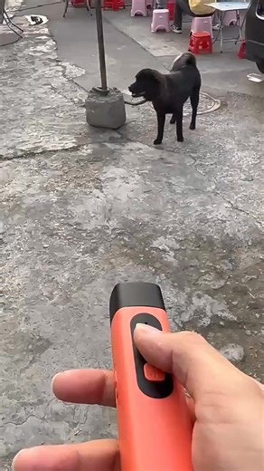 😩 Is your dog barking nonstop? Try the Ultrasonic Anti-Barking Device™ — the safe and effective way to train your dog without shocks or pain! 🔊 Uses ultrasonic sound to stop barking instantly ✅ 100% safe for dogs and humans ✅ Easy to use at home or on walks ✅ Portable, lightweight, and rechargeable 🎁 50% OFF FREE Shipping — Today Only! 👉 Tap Shop Now and train your dog the smart, gentle way 🐾 | HLPets