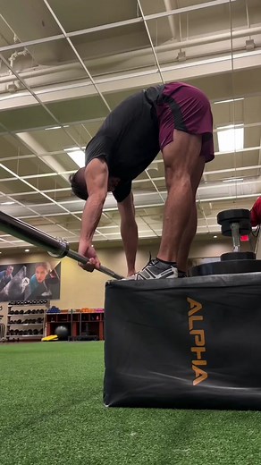 Effective Exercises for a Healthy Lower Back