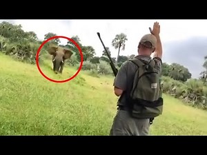 30 Times African Safari Trips Went Horribly Wrong (Part 2)