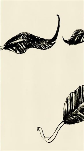 Spencer Cullum - Rowan Tree [Official Visualiser] #music #folk #animation