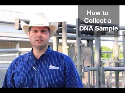 How to Collect a DNA Sample