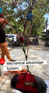 384K views · 2.8K reactions | What Mechanical Advantage System Is...