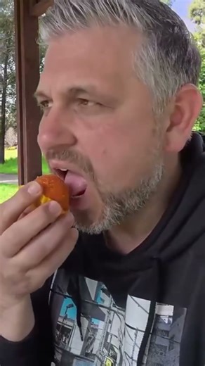 Sweet Surprises Discovering Delicious Indian sweets #foodchallenge #food #sydneyeats