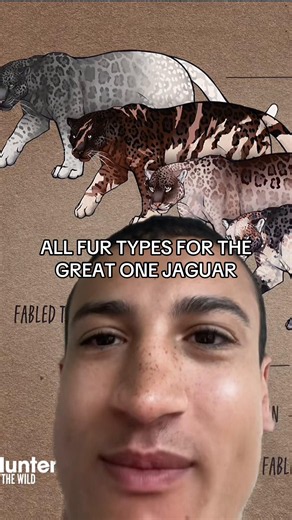 All Fur Types for the Great One Jaguar