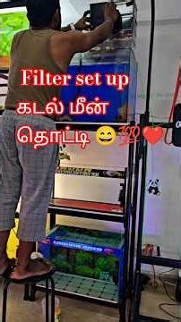 Filter setup for கடல் மீன் Tank #fishkeepinghobby #marinetank #filter #aquariumfilter #tamilfish