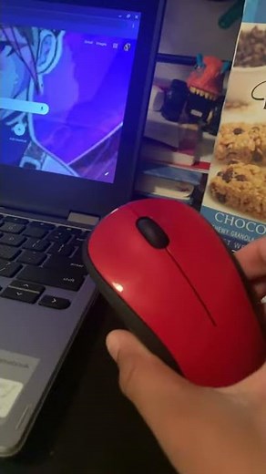 How to connect a wireless mouse to your Chromebook