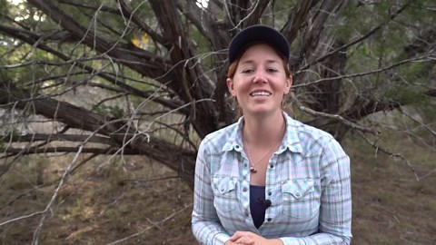 Build The Coolest Bunk Bed Ever (with a Rock Climbing Wall!)