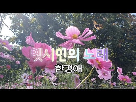 옛시인의 노래 (가사)/한경애