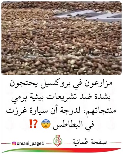 ‎صفحة عُمانية 🇴🇲‎ on Instagram‎: "مزارعون في بروكسيل يحتجون بشدة ضد تشريعات بيئية برمي منتجاتهم، لدرجة أن سيارة غرزت في البطاطس 😨⁉️"‎