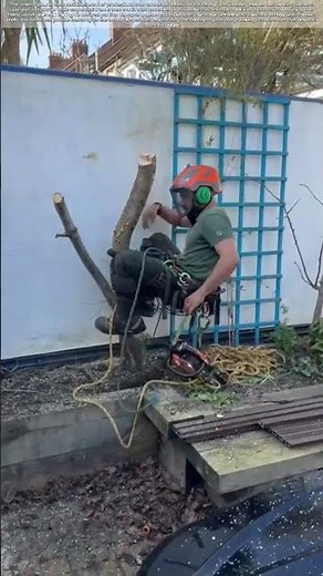 Arborist Operations: Secured Tree Pruning with Chainsaw