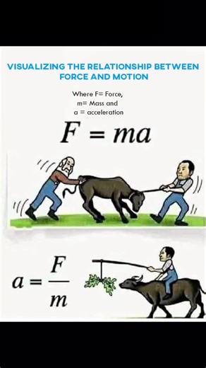 UNIVERSE | SCIENCE | TECHNOLOGY on Instagram: "Force doesn’t just move objects — it controls how they move. This animation makes Newton’s laws easier to understand than ever. This visual explains the connection between force and motion in the most satisfying way possible. When a force is applied to an object, it changes the object’s speed, direction, or both. The greater the force, the greater the change in motion — this is the foundation of Newton’s Second Law (F = ma). From pushing a box to la