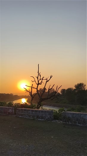 "Golden hour magic ✨🌅"#SunsetVibes #NatureShorts #PeacefulMoments"