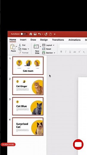 I Made A PowerPoint Presentation About My Cat