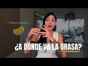 How to BURN BODY FAT 😳 (and 3 golden rules to achieve it)