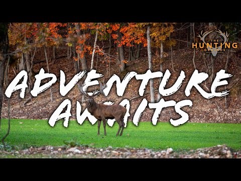 Why Hunt Red Stag in the USA?