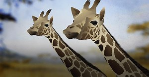 Eons | Why The Giraffe Got Its Neck | Season 6 | Episode 1