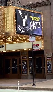 2.5K views · 184 reactions | It's the opening night of the #CATSTour in Chicago! Scoot on over to the Nederlander Theatre through February 26th. | Cats the Musical | Facebook