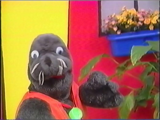 Safety 4 Kidz Volume 2 (1998 VHS)
