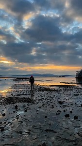 21 reactions · 6 comments | @malinditaylor just welcoming you to our Samish Bay Farm! | Taylor Shellfish Farms | Facebook