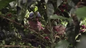 From Bean to Instant Coffee: Discover the Industrial Process in Coffee Manufacturing!