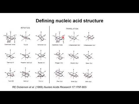Nucleic Acid Structure 3 – Flexibility of DNA Part 1