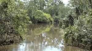 Two tourists die after flood waters submerge car in Kilkivan, Queensland