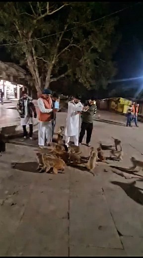 Ranbeer Pateriya on Reels