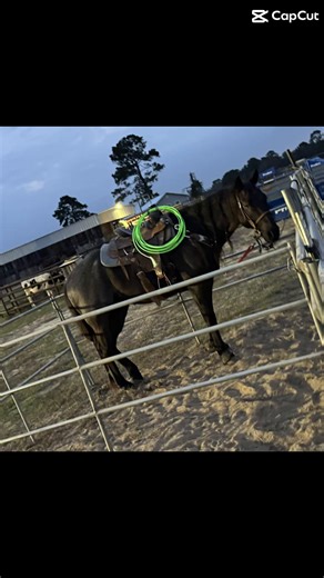 #myson #rodeo #horses #takeallmy$$ #foryou 🤠 💙@Cdash | Horse TikTok