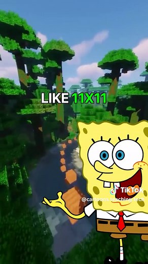 🧠 AlexNet changed everything in 2012. It was the first deep neural network to crush ImageNet, and it kickstarted the deep learning revolution. 📸 Trained on millions of images 🧱 8 layers deep (5 conv 3 fully connected) 🔥 ReLU activation for faster training AlexNet proved that deep learning works and opened the door to modern AI. #DeepLearning #AI #NeuralNetworks #AlexNet #ComputerVision #ImageNet #CNN #MachineLearning #AIHistory